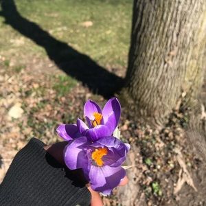 Meet your Posher, Dieynabou